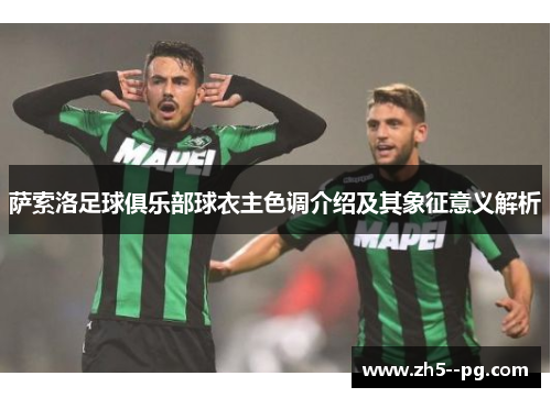 萨索洛足球俱乐部球衣主色调介绍及其象征意义解析