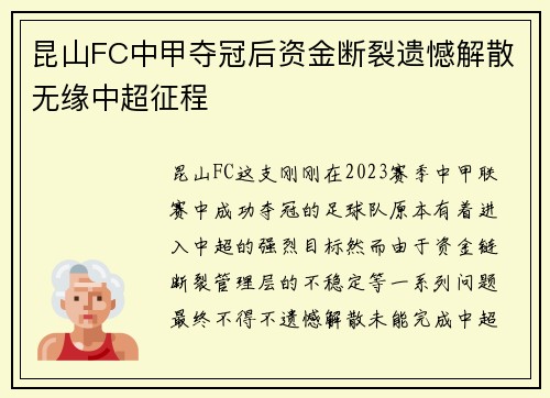 昆山FC中甲夺冠后资金断裂遗憾解散无缘中超征程